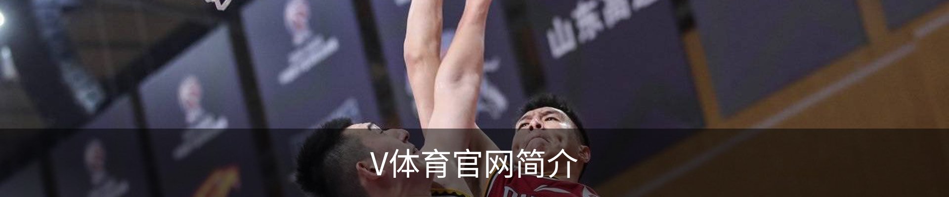 V体育官网简介